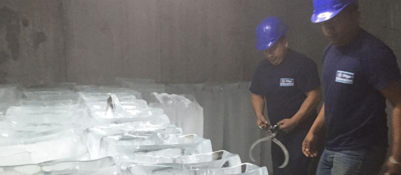 Empleados de una empresa colocan hielo en un recipiente lleno de pescado. Fotos: Marcel Bonilla / LÍDERES