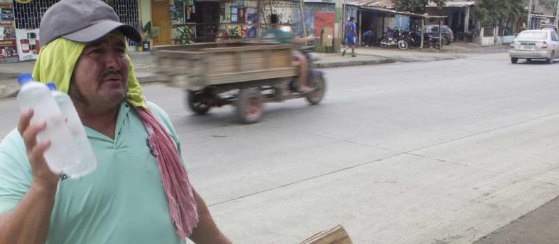 La venta de agua de coco en botellas de plástico es la nueva apuesta de los manabitas. Foto: LÍDERES