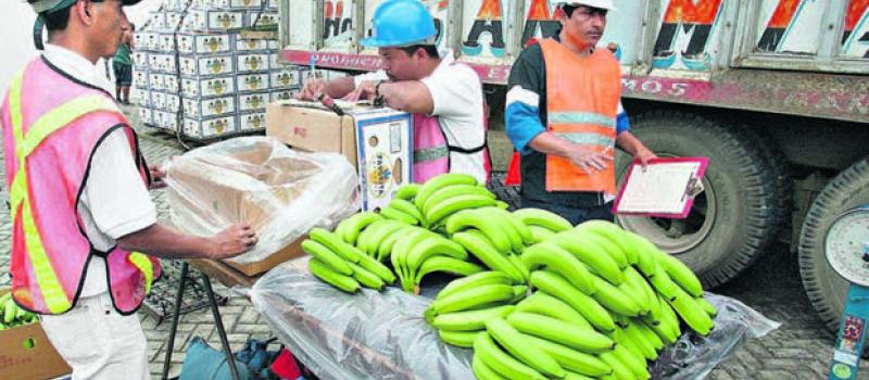 En el Puerto Bananero de Fertisa del Grupo Reybanpac se carga el buque Sprint Panda con banano de exportación a Europa