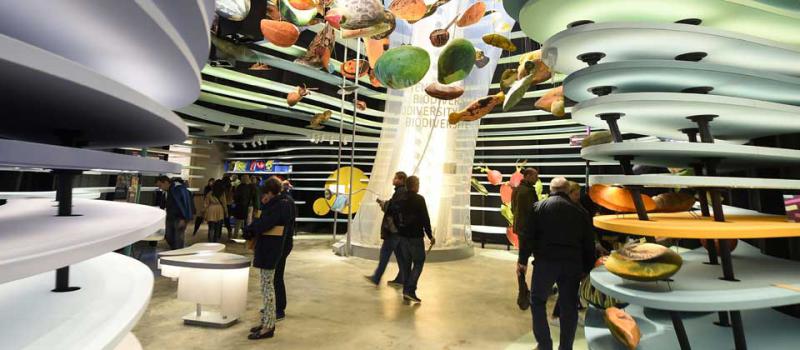 La Expo de Milán reúne a expositores de la industria alimenticia y energética. Foto: AFP