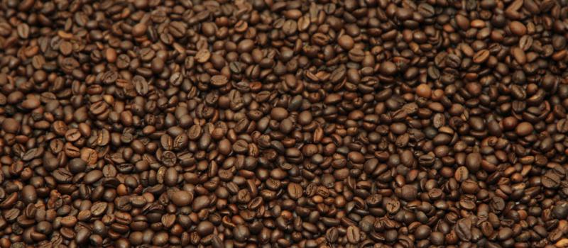 Imagen referencial de la producción de café de Colombia fue de 6,2 millones de sacos de 60 kilos, en el primer semestre del año. Foto: Juan Carlos Pérez/ LIDERES.