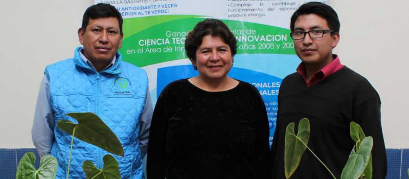 Nelson Guamán, Margoth Yaulema y José Guamán son los responsables del crecimiento de Asoproil, una asociación de Riobamba. Foto: Raúl Díaz para LÍDERES