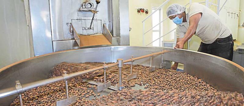 Un empleado de Intiorganics trabaja en la planta de producción de esta Mipyme ecuatoriana. La empresa exportó el año pasado productos semielaborados de cacao a tres países. Foto: Vicente Costales / LÍDERES