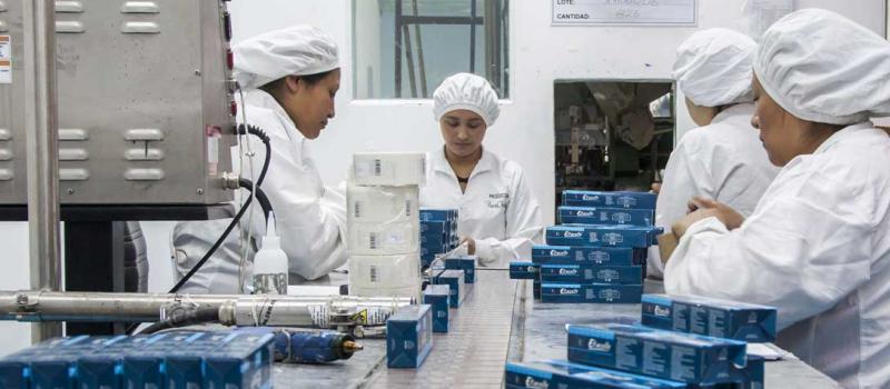 Los empleados revisan los productos que están por ser despachados. La planta de la empresa funciona en el sur de Quito, en el sector de Chillogallo. Fotos: Armando Prado / LÍDERES