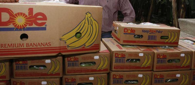 Desde 1990, Ubesa pertenece al grupo Dole, una de las empresas comercializadoras de fruta más grandes del mundo.