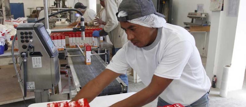 Uno de los trabajadores de La Industria Harinera revisa los paquetes de la harina Santa Lucía que se elabora en la planta, ubicada en el sector de San Bartolo, en Quito. Fotos: Galo Paguay / LÍDERES