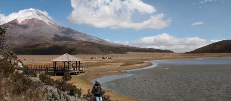El Parque Nacional Cotopaxi alberga una  gran muestra de flora y fauna. El país es megadiverso en el mundo. Foto: Archivo / LÍDERES