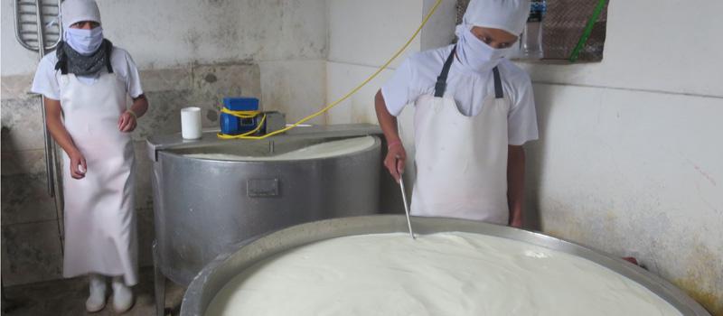 La fábrica de quesos Muchuk Mikuy está en Guamote. Foto: Gleda Giacometti / LÍDERES