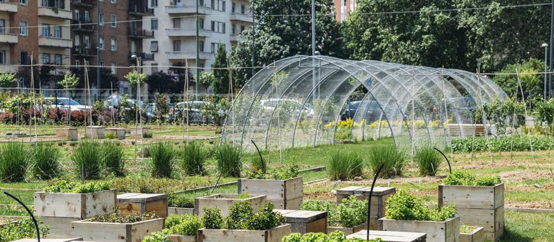 Los espacios verdes y los servicios públicos flexibles son parte de las ciudades sostenibles