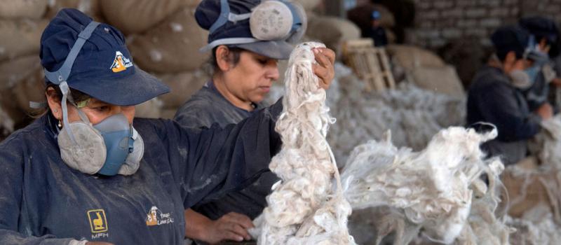 Dos mujeres trabajan en una de las empresas que procesa lana de alpaca en arequipa, al suroeste de Perú. La lana negra es escasa, porque el 60% de las alpacas son blancas. Fotos: AFP