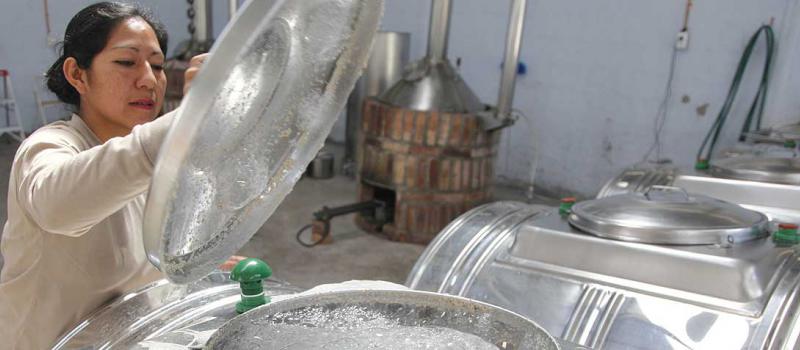 En la destilería de la planta se encuentran los tanques de fermentación. La espuma demuestra que el chaguarmishqui está en pleno proceso. Fotos: Galo Paguay / LÍDERES