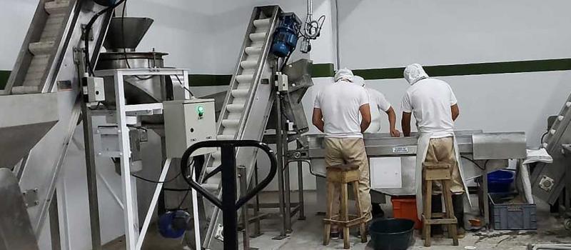 La planta de producción de la empresa se encuentra en San Miguel de Los Bancos. De forma automatizada se industrializa el sacha inchi. Foto: cortesía Agroindustrias Ecuador G2
