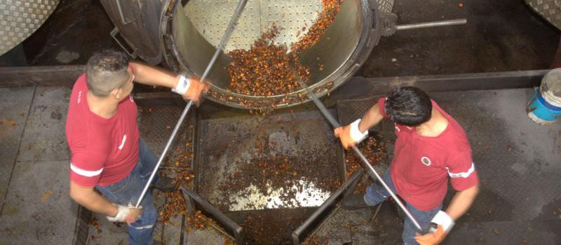 En la piladora Noelia del cantón Santa Lucía, en la provincia del Guayas, se produce variedades de arroces saborizados para exportación. Foto: Archivo / LÍDERES