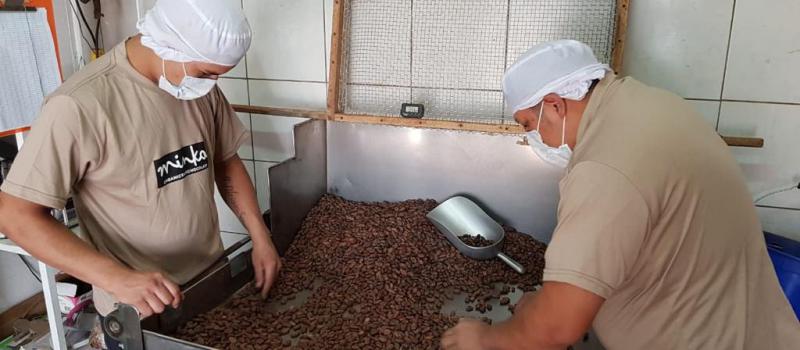 El cacao con el que se elaboran los chocolates viene de cuatro provincias