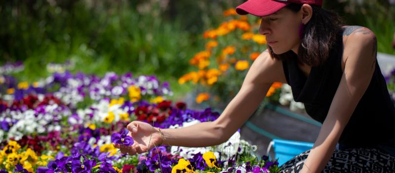 Violeta Moreno Wray, CEO & cofounder, se dedica al cultivo de plantas y flores medicinales. Foto: Cortesía / Mateo Barriga S.