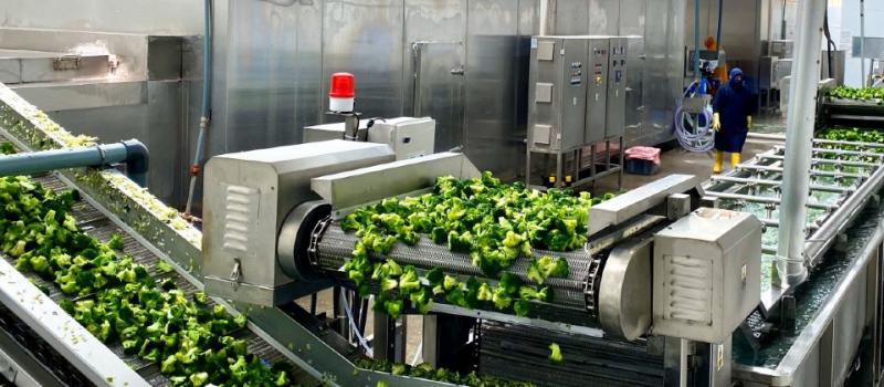 El brócoli es uno de los productos que se mostrará en la feria de Italia, del 3 al 5 de mayo del 2023. Foto: Nova Alimentos.