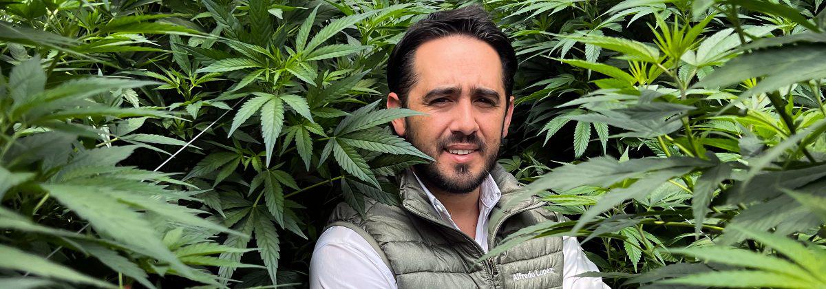 Alfredo López es el cofundador de la empresa ecuatoriana Cannandes, que tiene sus plantaciones en Tabacundo. Produce flores, biomasa y extractos. FOTO:  Patricio Terán / LÍDERES