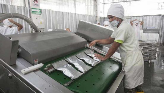 El atún en ‘pouch’ pasa por las máquinas de sellado automático, en la planta de Fishcorp, en Manta. Foto: Enrique Pesantes / LÍDERES