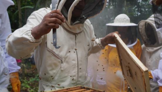 Los emprendedores usan equipos de protección, ahumadores y palancas para apicultura. Foto: Marcel Bonilla / LÍDERES