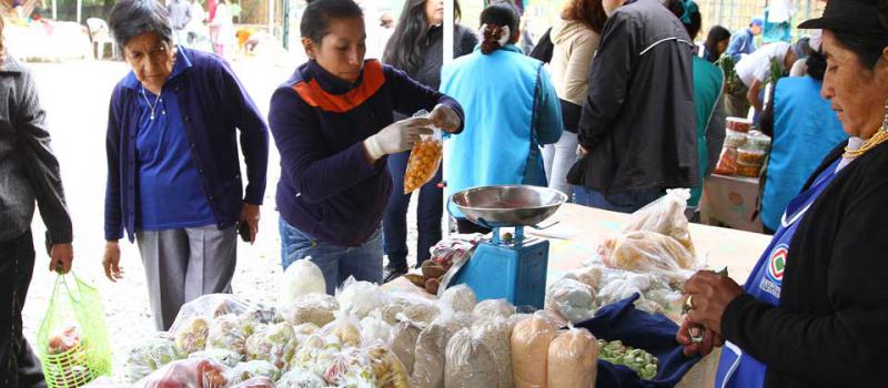 En las ferias agroecológicas se pueden encontrar productos ancestrales como la mashua, oca y jícama. Foto: Eduardo Terán/ LÍDERES