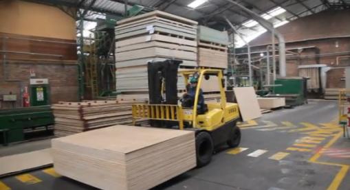 Captura video - El sector de la madera registró un crecimiento del 29% respecto al 2013